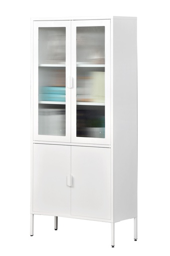 STEEL CABINET B06 WITH GLASS