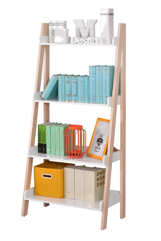 NEW LADDER SHELF 1