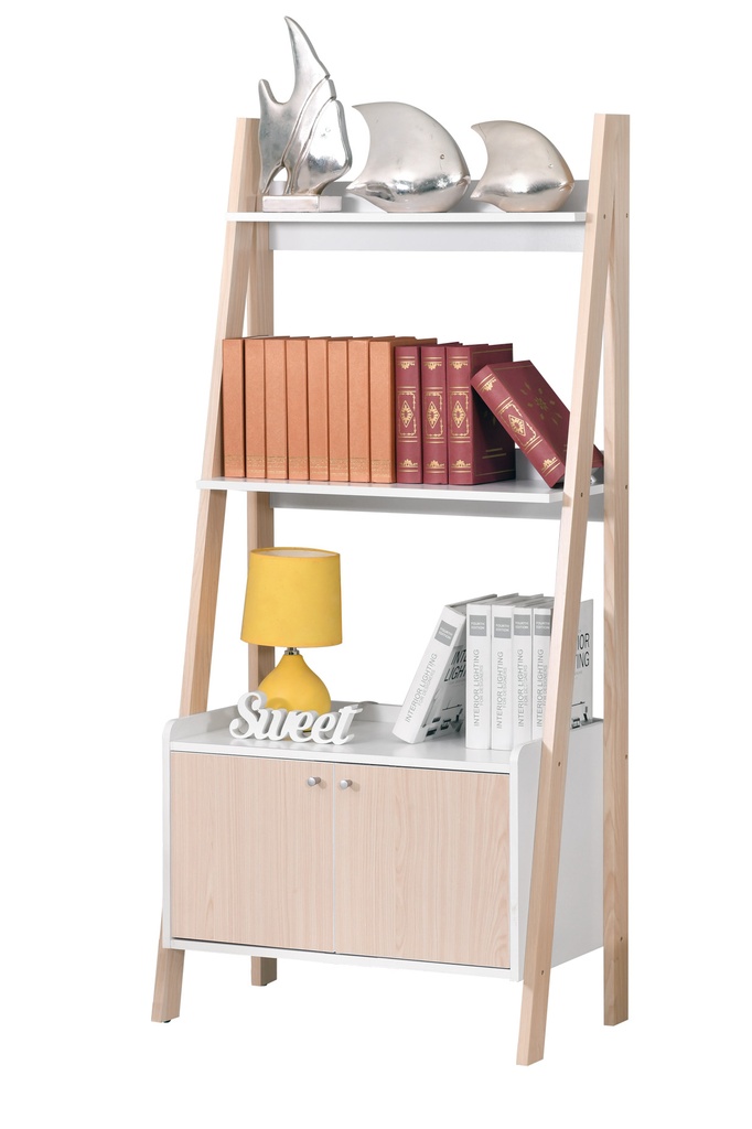 NEW LADDER SHELF 2